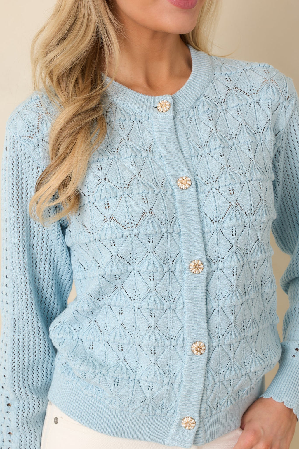 Ever So Classic Light Blue Pointelle Knit Button Front Cardigan